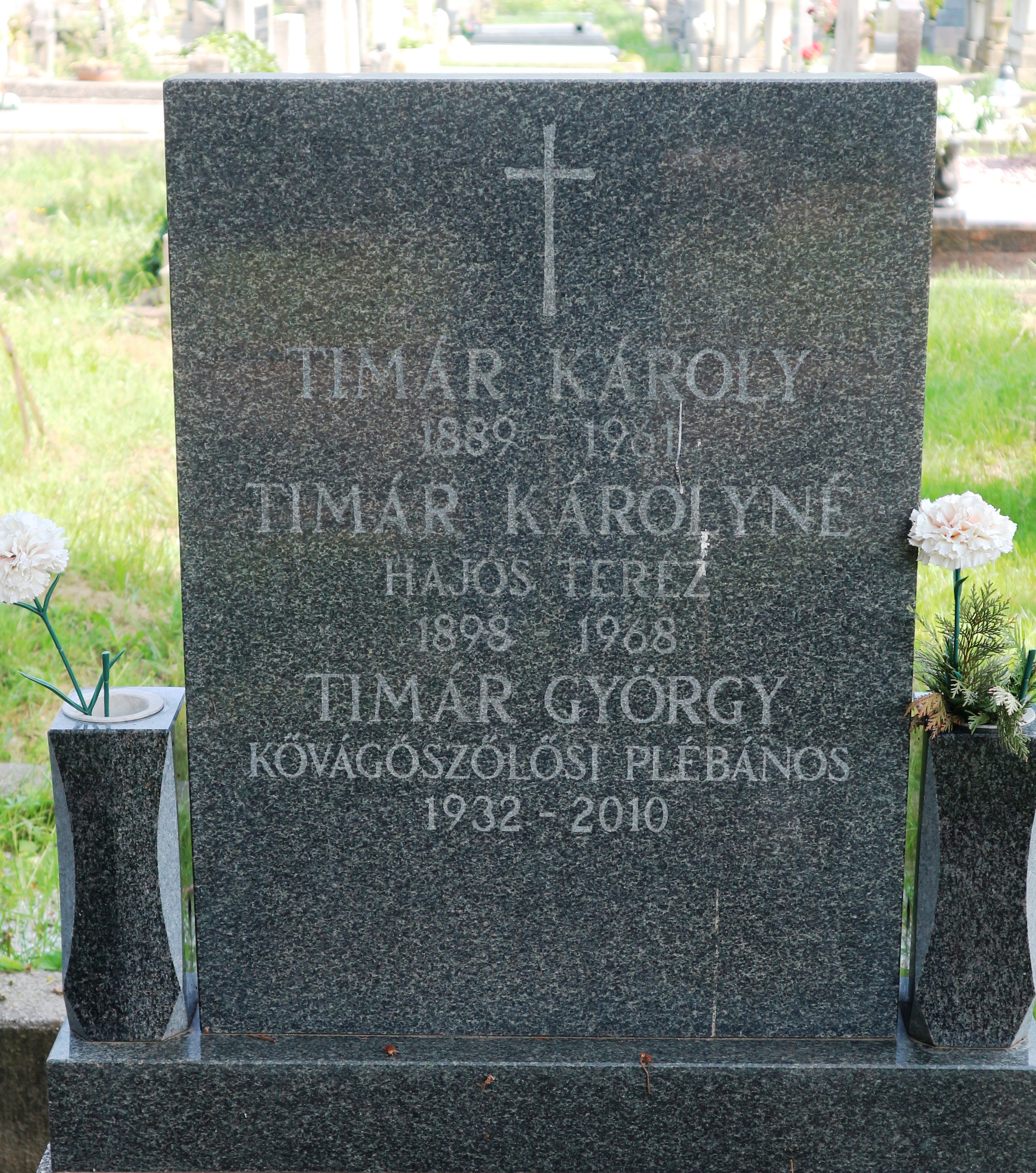 Dr Timar Gyorgy sirhely jav