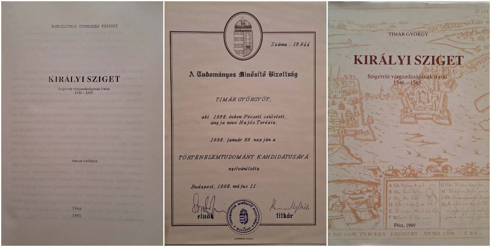 kandidatusi TGY collage